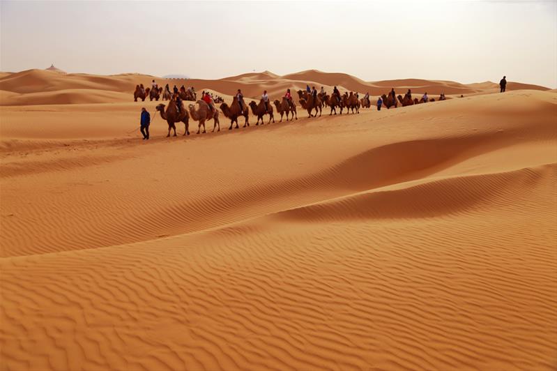 Cưỡi lạc đà băng qua những đụn cát trên sa mạc Gobi